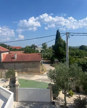 Sunny Life Apartment