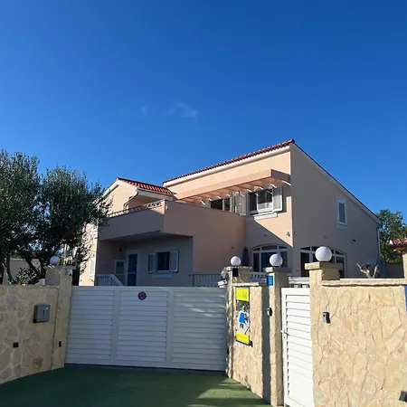 Sunny Life In Stella